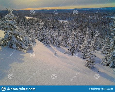 Winter Wonderland In Hedmark County Norway Stock Photo Image Of