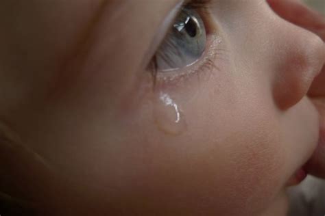A Single Tear Facing North East Flickr