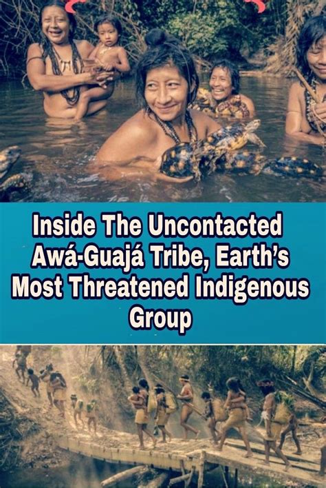 Inside The Uncontacted Awá Guajá Tribe Earths Most Threatened