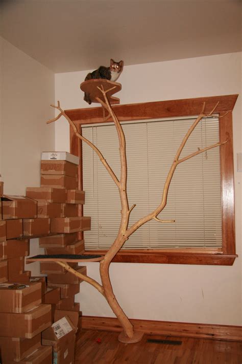 Cat Tree Diy Branch Homemade For Cats Diy Cat Tree Unique Cat