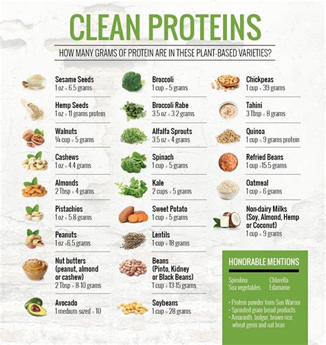 Foods High In Protein Printable List