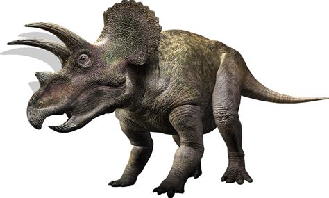 Informasi Tentang Dinosaurio Huevo De Dinosaurio Triceratops Imagen Png