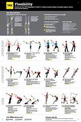 Photos of Workout Stretching Exercises