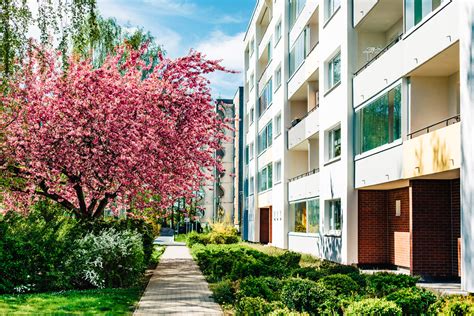 Wohnungen kaufen in greifswald vom makler und von privat! Modernisierung | Wohnungsgenossenschaft Greifswald eG