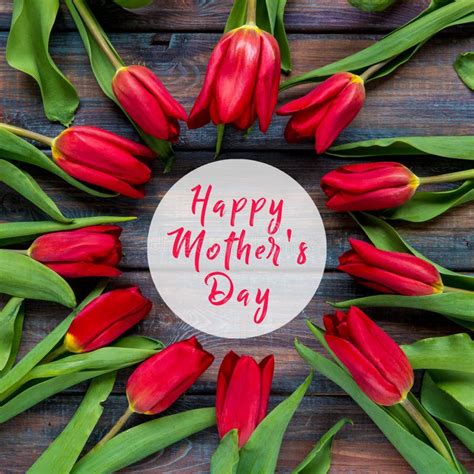 Happy Mother S Day Card With Red Tulips Stock Photo Image Of Fresh