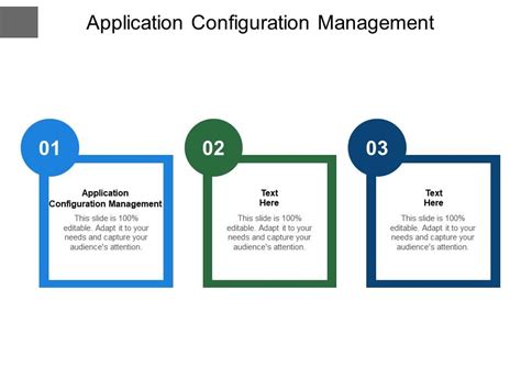 Application Configuration Management Ppt Powerpoint Presentation