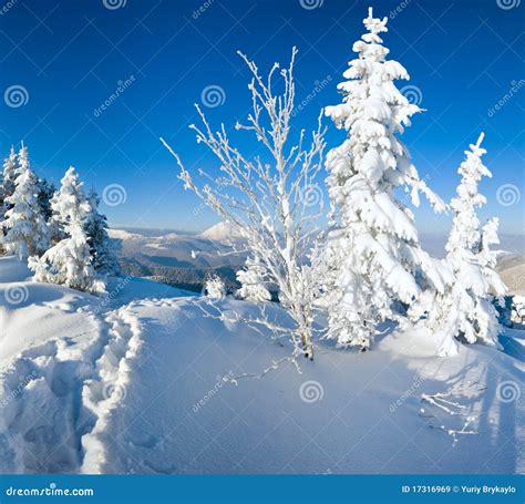 Winter Mountain Panorama Stock Image Image Of Snowy 17316969