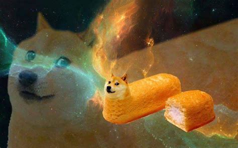 Bread Doge Know Your Meme