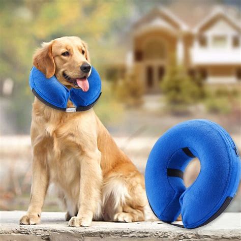 Top Three Pet Recovery Cone Alternatives For Tripawds Tripawds Gear