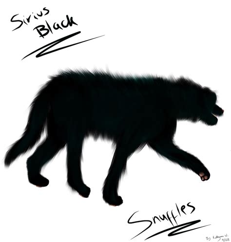 Sirius Black Animagus By Wickramaratne On Deviantart