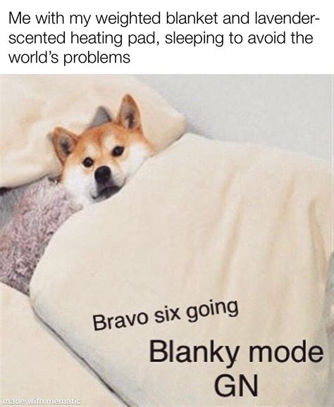 29 Weighted Blanket Meme Funny - Woolseygirls Meme