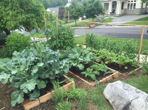10 Great Front Yard Vegetable Garden Ideas 2024