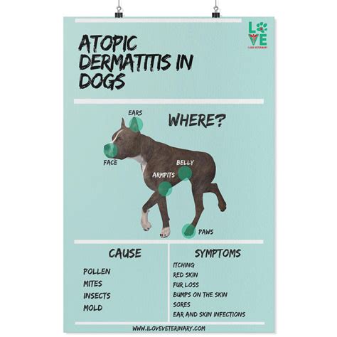 Atopic Dermatitis In Dogs Poster I Love Veterinary