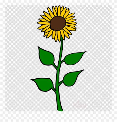 Free Cartoon Sunflower Cliparts Download Free Cartoon Sunflower