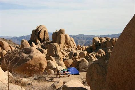 A Joshua Tree Camping Guide Everything You Need To Know Mapthememories