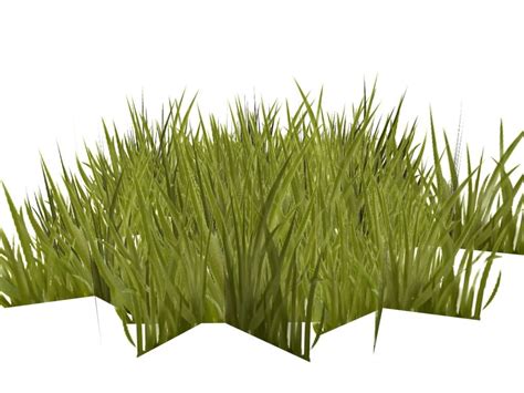 Grass 3d Max