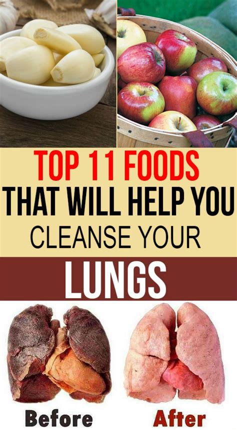 Top 11 Foods That Will Help You Cleanse Your Lungs Food How To Stay