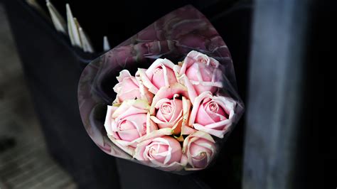 Pink Roses Roses Bouquet Pink Hd Wallpaper Wallpaper Flare