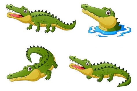 Premium Vector Set Of Funny Crocodile Cartoon Illustration