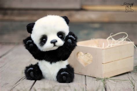 Foto Panda Bebe Le Bébé Panda Pouvez Vous Choisir Le Plus Mignon