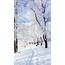 Snow Winter Wallpaper ·� WallpaperTag