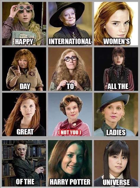 Harry Potter International Womans Day Harry Potter Puns Harry