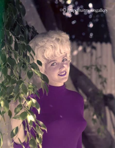 Bunny Yeager S X Color Camera Transparency Pretty Fashionable
