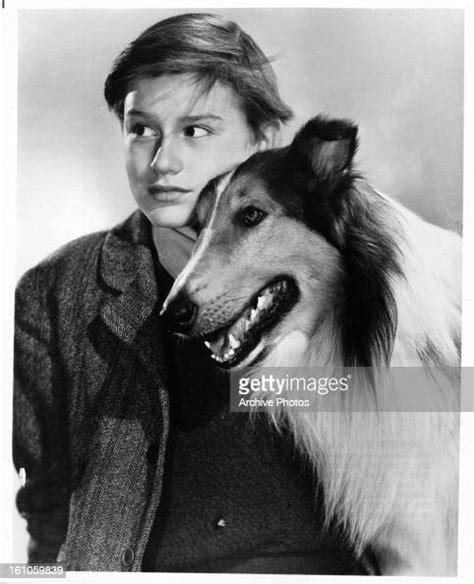 Roddy Mcdowall And Lassie In Publicity Portrait For The Film Lassie