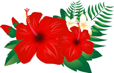 Hibiscus Flower Clipart Free Download Transparent Png Creazilla