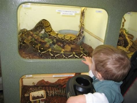 The Reptile Zoo In Fountain Valley California Kid Friendly