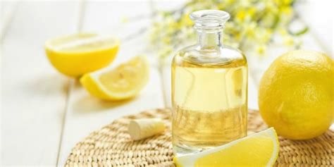 Lemon Oil Lemon Essential Oil Uses And Potential Phototoxicity