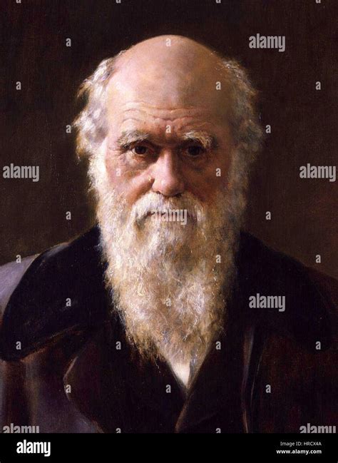 Charles Robert Darwin By John Collier Crop Stock Photo Alamy