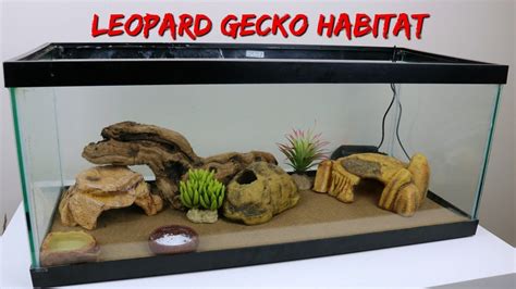 Setting Up My Leopard Gecko S New Habitat Youtube