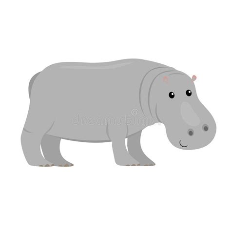 Cartoon Hippo Flat Color Vector Ilustration Isolated On White