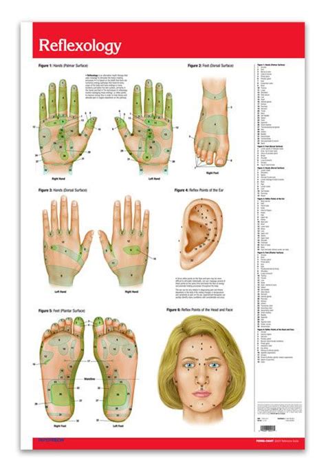 Pin On Massage Pressure Points