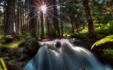Forests Waterfalls Rays Of Light Trees Nature 414451