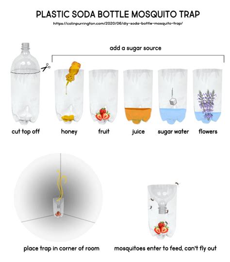 Indoor mosquito trap made from plastic soda bottle
