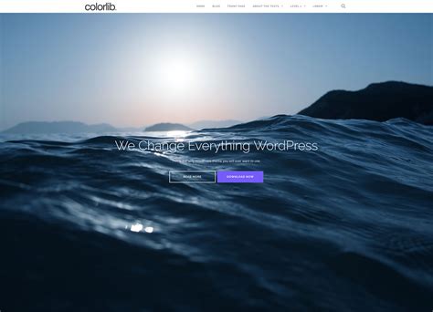 The theme is amazing for personal, lifestyle, travel, beauty, fashion, and any kind of amazing blogs. 35 Awesome & Free Responsive WordPress Themes 2020 - Colorlib