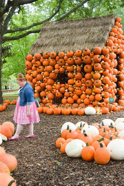 Cheekwood Harvest A Fall Must Do In Nashville Fall Themed Gardens A