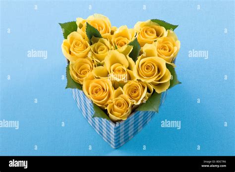 Yellow Rose In Heart Shaped Box Stock Photo Alamy