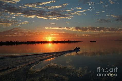 Morning Coffee Photograph By Perry Hodies Iii Fine Art America