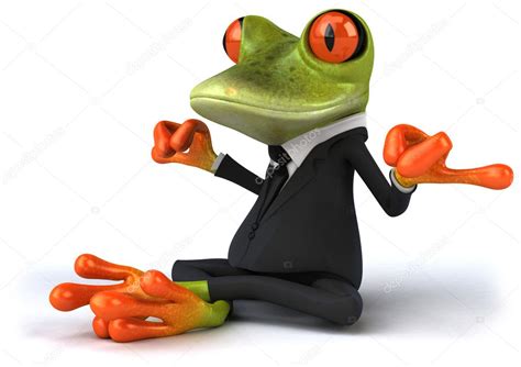 Zen Frog — Stock Photo