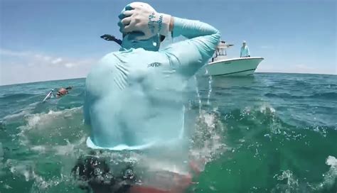 Choc Un Plongeur Se Fait Mordre à La Tête Et Au Cou Par Un Requin En