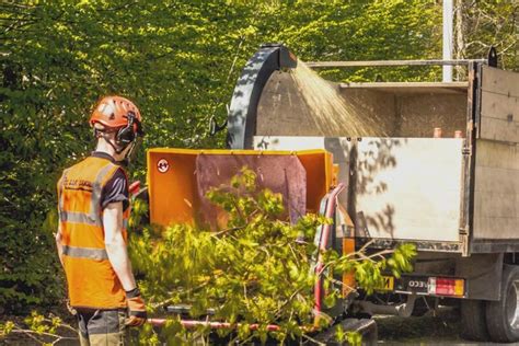High to low nearest first. Wood Chipping Services Near Me - (2020 Price Guide - Brush ...
