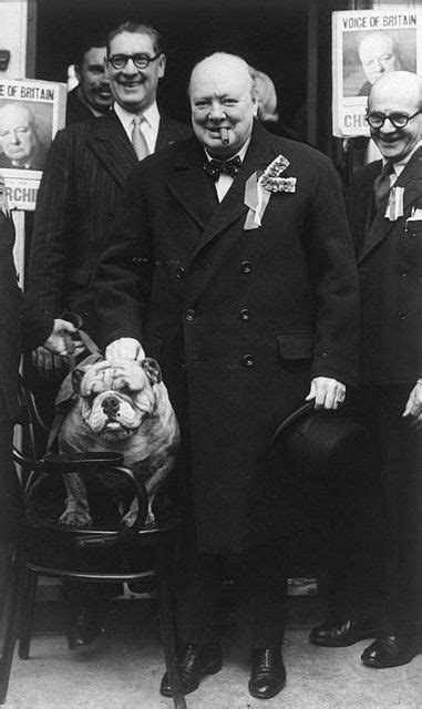 Churchill Bulldog 1950 Winston Churchill Photos Churchill Winston