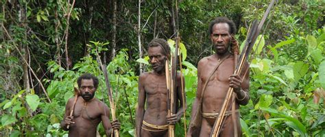 Lifetime Experience To Visit The Korowai Tribe Papua