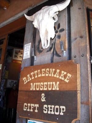 The new mexico history museum features 3 1/2 floors of exhibitions telling the stories that made the american west other parts of the museum campus include the print shop and bindery, a working exhibit of antique printing presses. American International Rattlesnake Museum - Museums ...