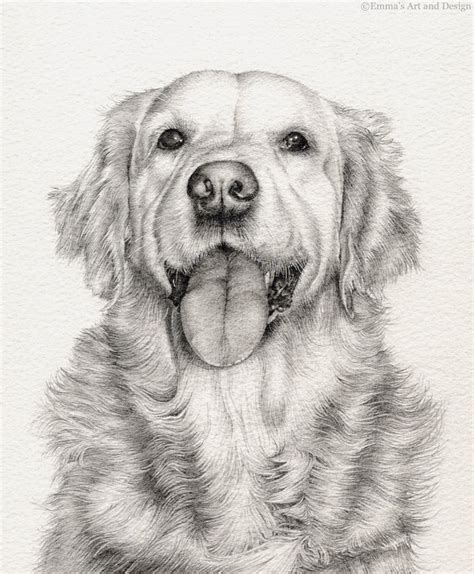 This book can get your started and lead the way, and thenit's up to you to devote. Golden Retriever Mounted print of original pencil drawing
