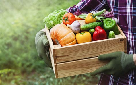 Tips For Vegetable Harvest Storage Jung Seed Gardening Blog