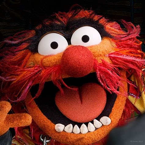 Muppets Animal Muppet The Muppets Characters Les Muppets Film Disney